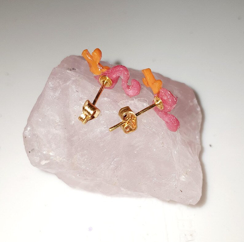 Puces d'oreilles Flamands roses