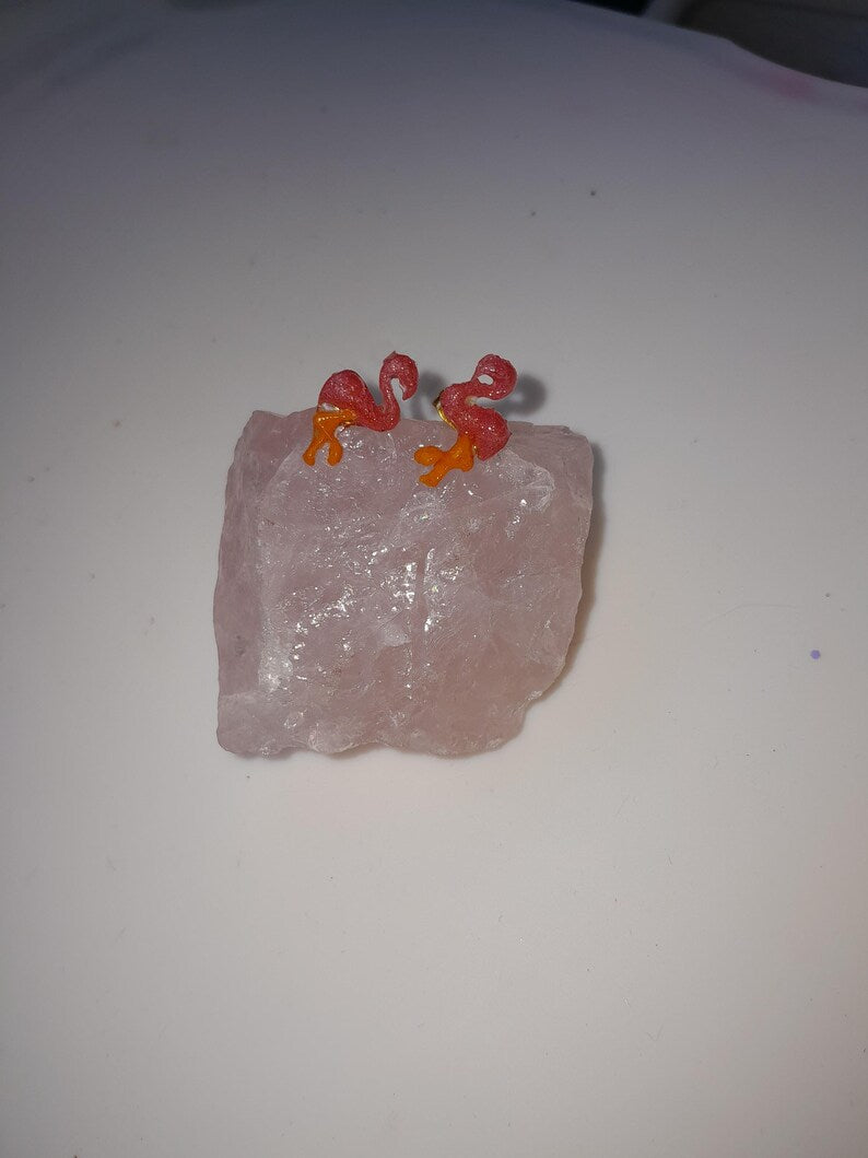 Puces d'oreilles Flamands roses