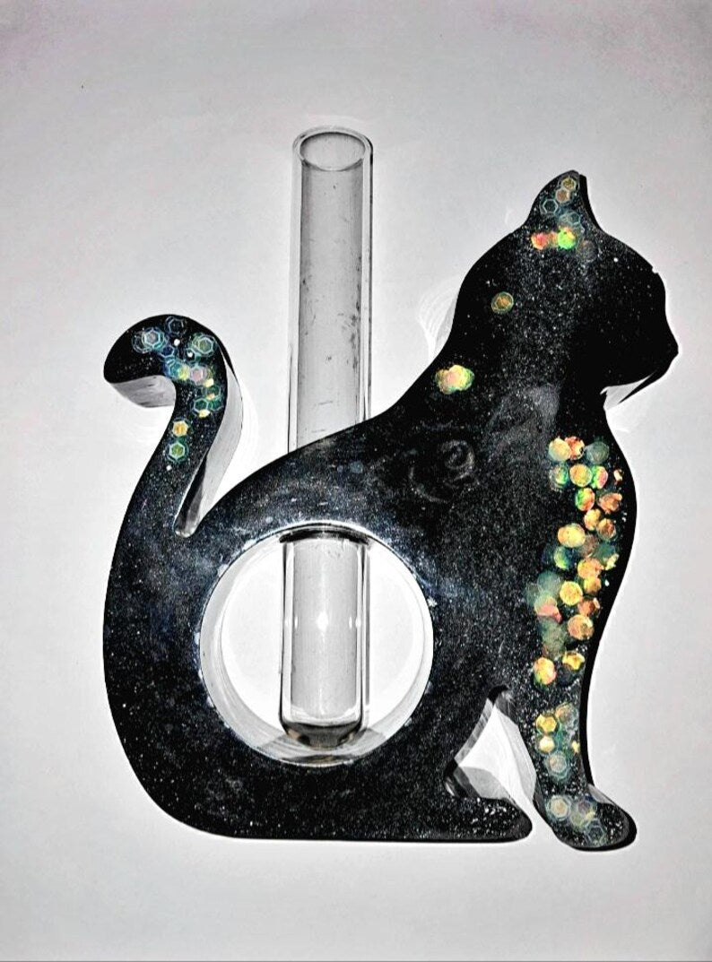 Soliflore chat