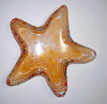 Vide poche Etoile de Mer